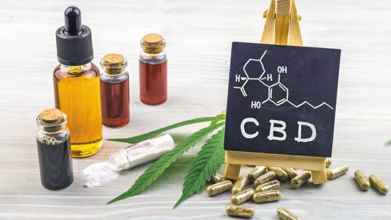 Four Things That You Should Consider In Buying CBD Products For Your Pet