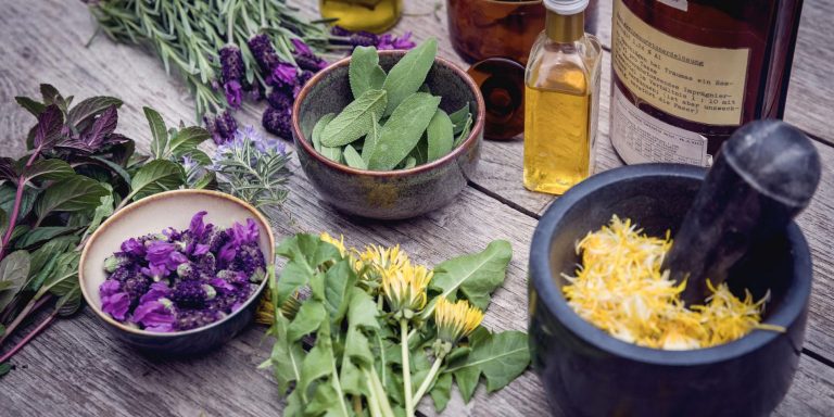 What Is Phytotherapy?