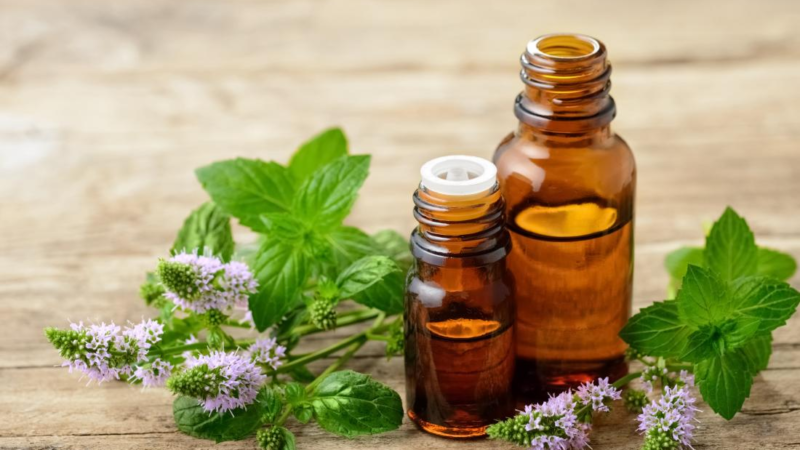 7 Most-Recommended and Safest Essential Oils for Kids