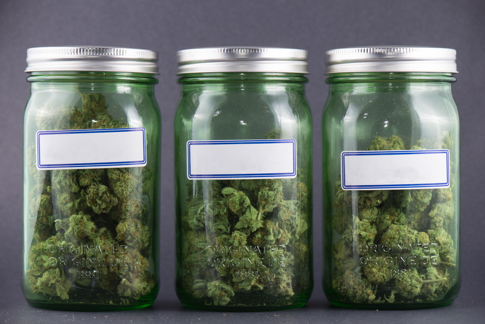 Why Cannabis Users Shouldn’t Obsess Over Favorite Strains