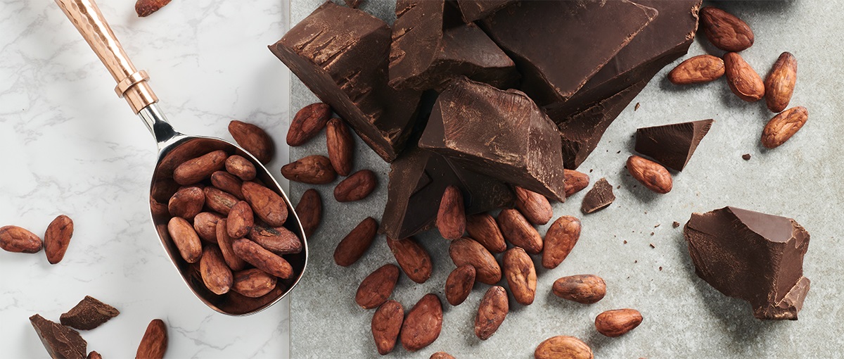 How chocolate goes from bean to bar?