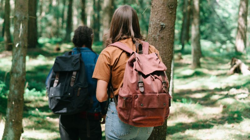 Two hikers with backpacks explore a dense forest path, surrounded by tall trees and greenery. — Costa Rica Surfing Delivers R