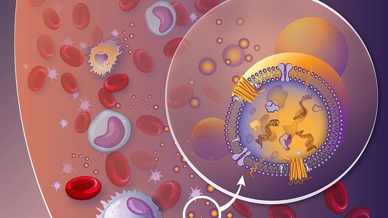 Early Detection Matters: How Blood Tests Are Changing Breast Cancer Screening