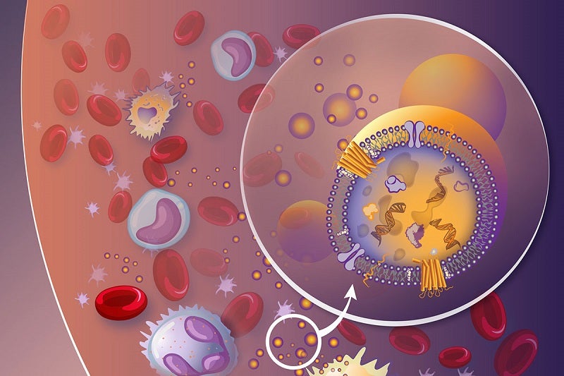 Early Detection Matters: How Blood Tests Are Changing Breast Cancer Screening