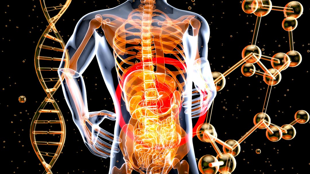 The Science Behind THC Edibles and Their Effects on the Body
